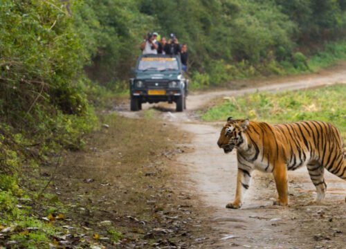 Jim Corbett National Park